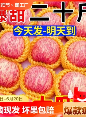 【特价】烟台红富士苹果应季新鲜水果整箱山东苹果脆甜10丑平果