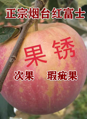 瑕疵果 红富士 次果烟台苹果 脆甜山东 新鲜水果 整箱5斤