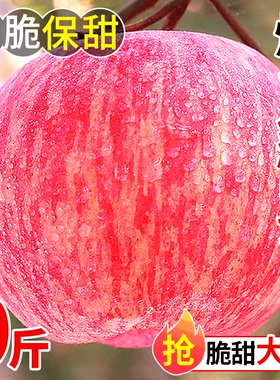 正宗山东烟台红富士苹果水果新鲜当季10斤一级栖霞脆甜平安果整箱