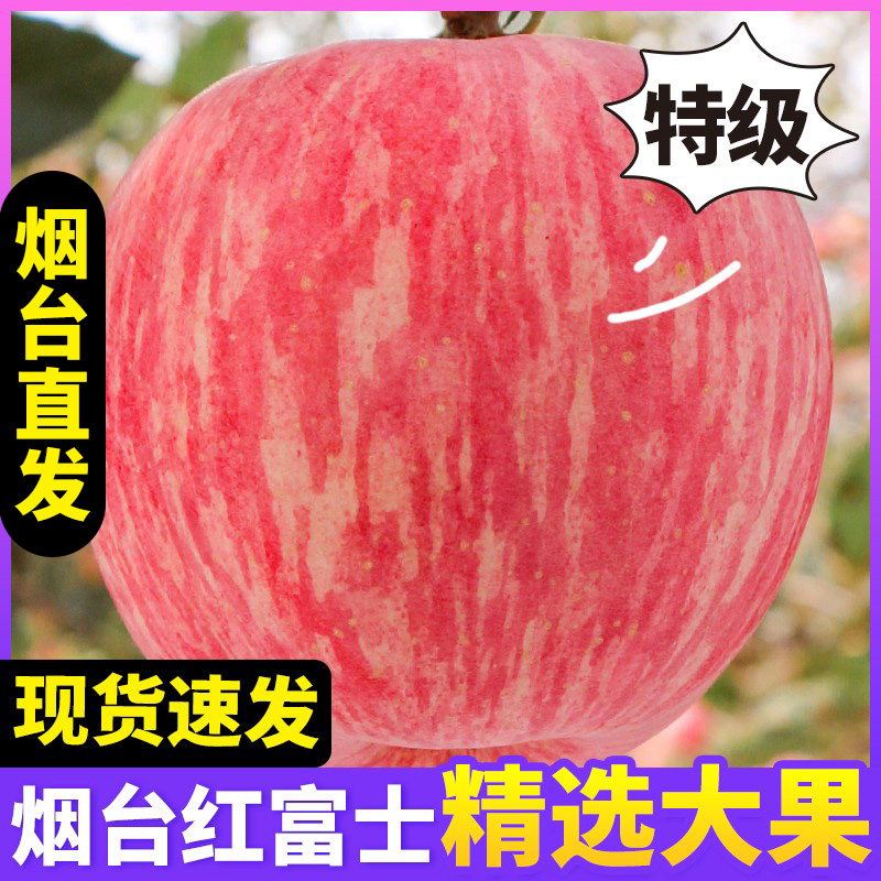 【特级】苹果水果新鲜当季整箱正宗山东烟台栖霞红富士苹果礼盒