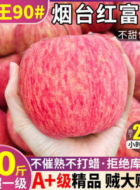 正宗精品 10斤山东烟台红富士苹果水果新鲜栖霞脆甜当季现摘整箱9