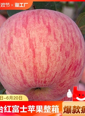 烟台红富士苹果水果10斤当季整箱正宗山东栖霞新鲜苹果包邮脆甜