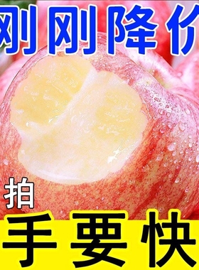 山东烟台红富士苹果新鲜水果应当季整箱脆甜10丑平果直发大果现摘