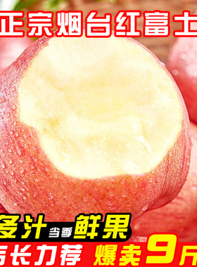 正宗山东烟台苹果礼盒装甜脆红富士现货供应新鲜优质水果店长推荐