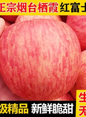 正宗山东烟台苹果栖霞红富士特级大脆甜新鲜现摘水果当季整箱孕妇