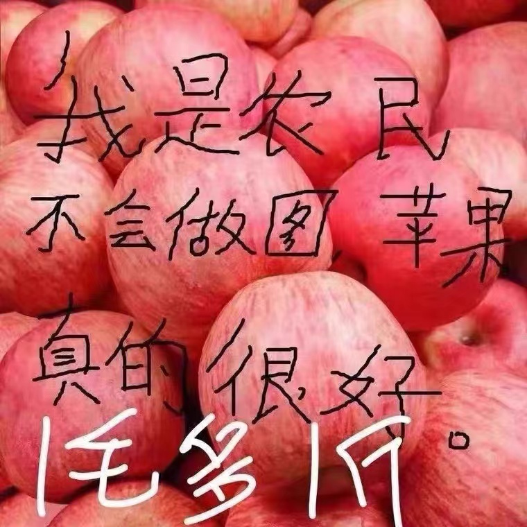 10当季新鲜山东水果红富士苹果栖霞冰糖整箱正宗斤心萍果烟台