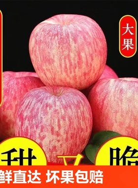 洛川苹果红富士新鲜水果山东栖霞冰糖心应季时令烟台红富士苹果