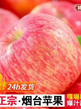 精选产地直发正宗烟台红富士苹果新鲜水果脆甜山东红富士苹果整箱