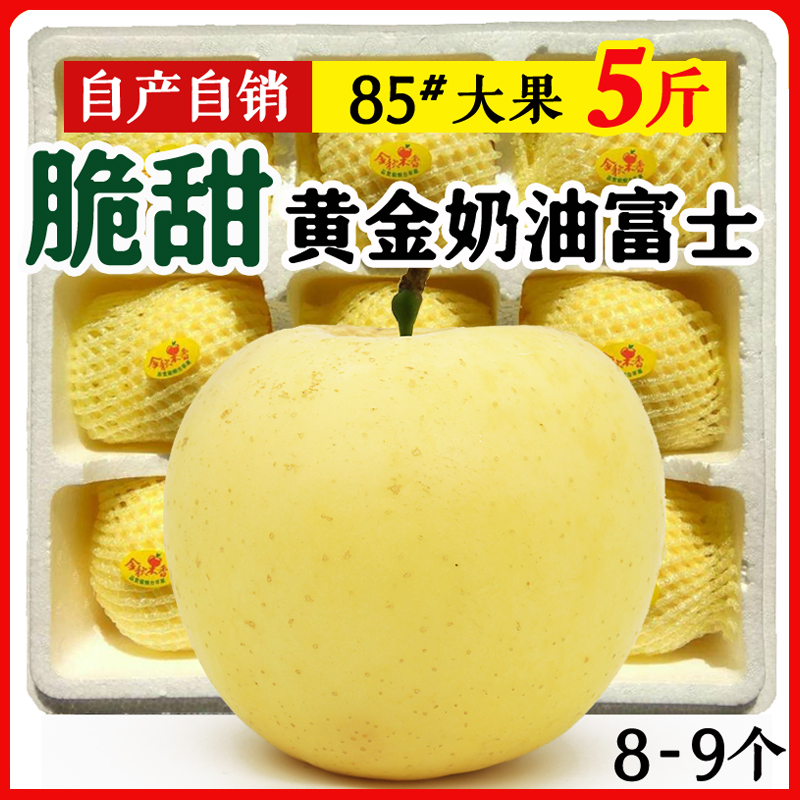 奶油富士苹果 脆甜 山东烟台栖霞黄金红富士 新鲜苹果水果5斤包邮