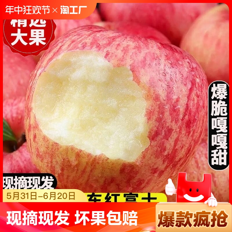正宗山东红富士苹果新鲜水果整箱非烟台萍果脆甜10丑平果现摘