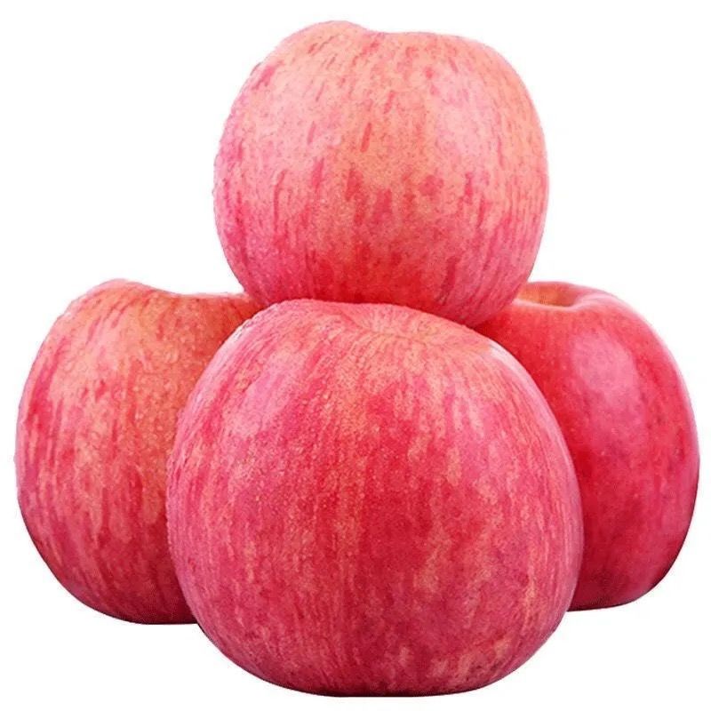【超低价】陕西冰糖心红富士苹果当季水果新鲜包邮整箱批10斤