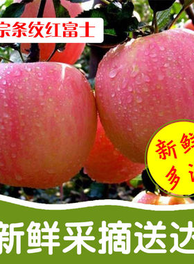 山西当季红富士苹果水果包邮新鲜水果现摘现发整箱5斤当季10斤批