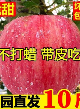 苹果水果10斤新鲜当季烟台红富士一整箱批应季脆甜冰糖心丑苹果mm