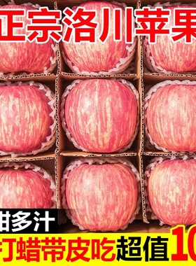 精品正宗洛川红富士苹果脆甜多汁当季新鲜水果3斤5斤10斤整箱批