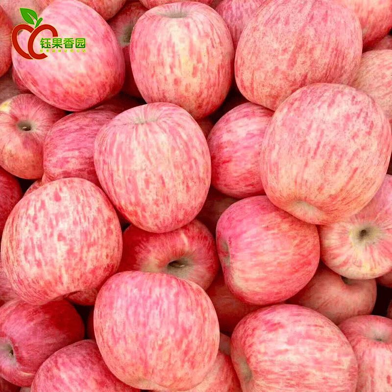 苹果水果10斤新鲜山东烟台红富士整箱批当季脆甜平果5栖霞特产3斤