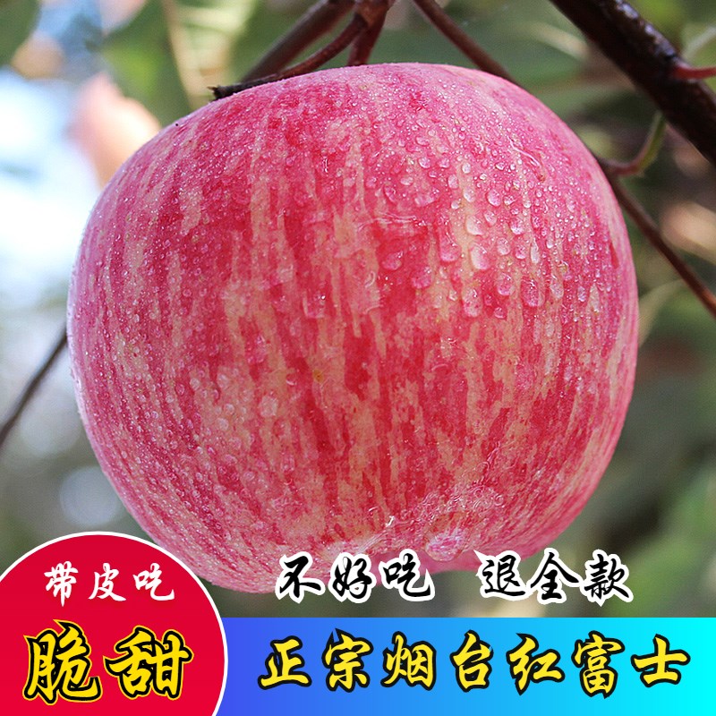 山东烟台苹果栖霞水晶红富士当季新鲜吃的水果甜脆10斤一整箱批