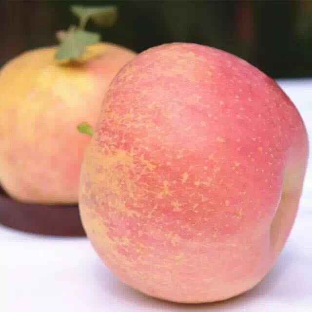 徐州大沙河红富士苹果水果新鲜当季带箱10斤批应季脆甜丑苹果整箱