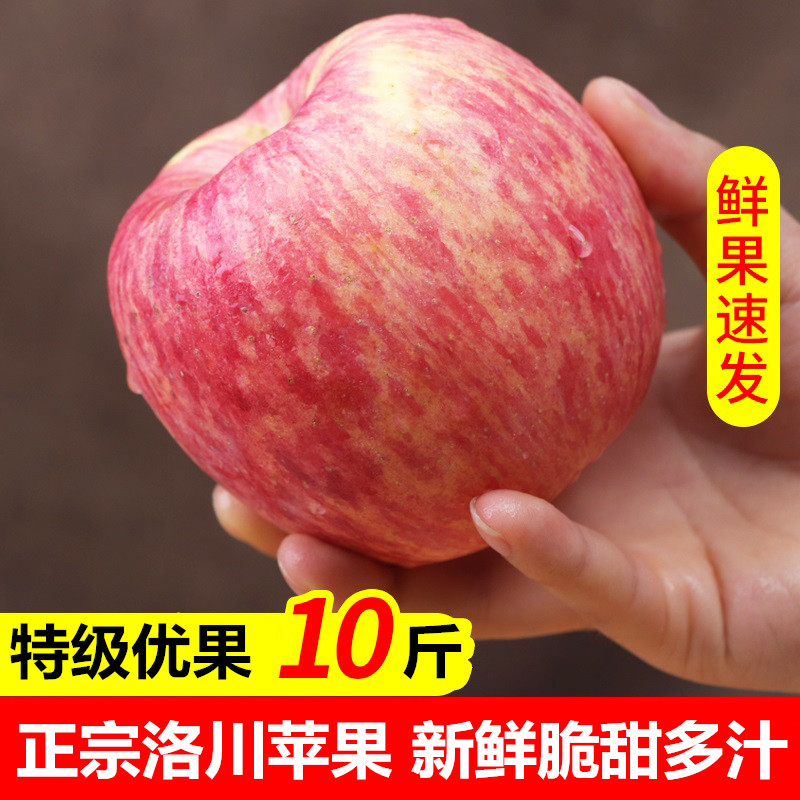 现货正宗陕西洛川苹果水果红富士脆甜10斤新鲜一整箱批大果冰糖心