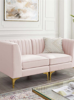 北欧轻奢简约小户型客厅双人组合布艺沙发设计天鹅绒粉色柔软现代