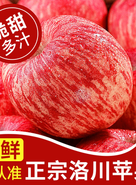 正宗陕西洛川苹果应当季新鲜水果整箱包邮红富士冰糖心脆甜