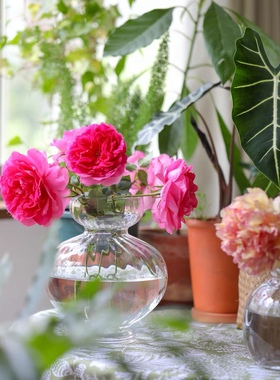 欧式简约透明玻璃花瓶摆件客厅插花家居水培鲜花干花装饰