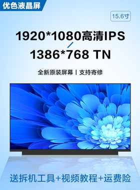 HP惠普TPN-C141 C139 Q208 C133 Q201 Q210液晶显示器电脑内屏幕