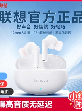 lenovo/联想蓝牙耳机无线降噪高音质2024新款入耳式活力版手机