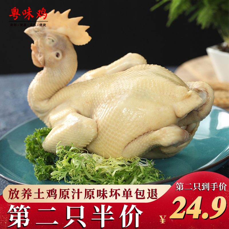 广东正宗白切鸡850g加热即食美食特产白斩鸡熟食口水鸡零食年货
