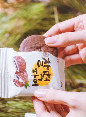 风味打糕巧克力夹心韩国进口lotte乐天济州岛柑橘豆粉打糕派口味
