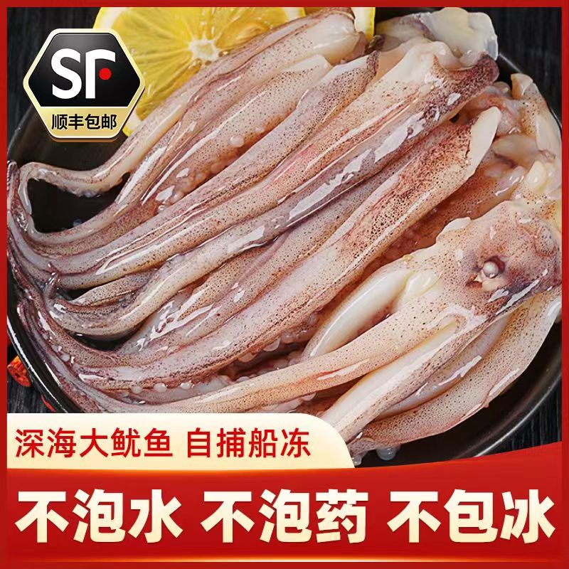 新鲜鱿鱼须鲜活冷冻二本足章鱼生鲜尤鱼铁板鱿鱼串腿海鲜商用批发