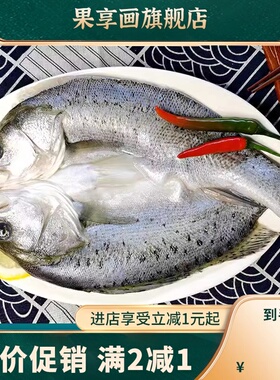白蕉海鲈鱼新鲜海鲜水产生鲜冷冻真空袋清蒸鲈鱼芦鱼卢鱼珠海特产
