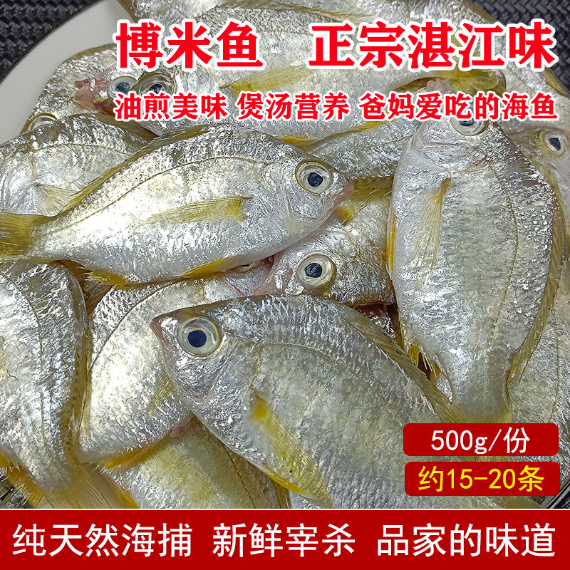 湛江海鲜新鲜海鱼小鱼仔天然海仔鱼生鲜水产非冷冻鱼类鲜活博米鱼