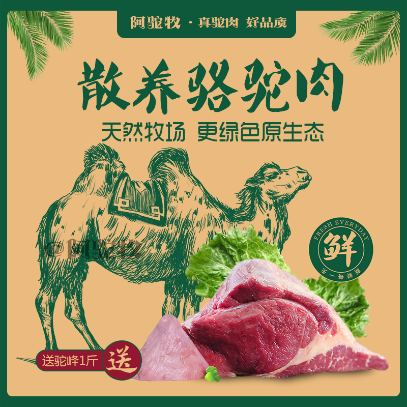 正宗内蒙古新鲜骆驼肉阿拉善自然散养驼肉腿肉生肉冷链5斤包邮