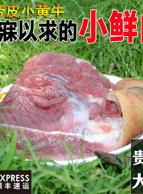 贵州带皮新鲜生小黄牛肉农家散养现杀生鲜土黄牛腩肉腿肉腱子肉