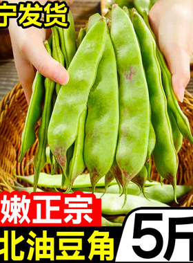 东北油豆角5斤新鲜现摘蔬菜一点红油豆角九月青黑龙江整箱包邮10