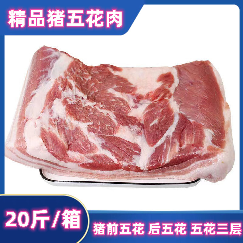 新鲜冷冻优质生猪肉带皮五花肉猪前腿肉前后上肉20斤整箱饭店食材