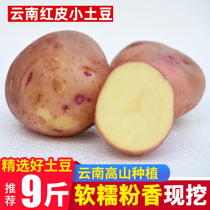 云南红皮小土豆2/3/5/9斤新鲜农家自种蔬菜红皮黄心土豆