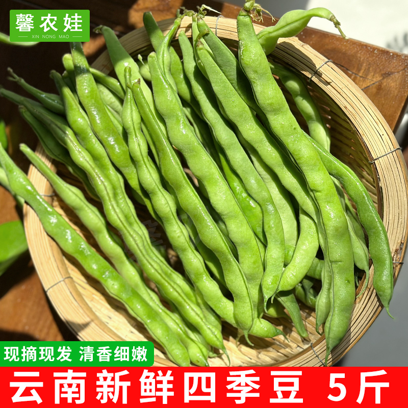云南新鲜蔬菜现摘白芸豆豆角豆米四季豆5斤包邮