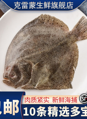 【顺丰包邮】新鲜海捕多宝鱼鲜活冷冻比目鱼7-9两/3整条海鲜水产