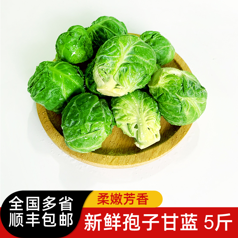孢子甘蓝5斤 新鲜蔬菜沙拉西餐食材 抱子甘兰 迷你小包菜小卷心菜