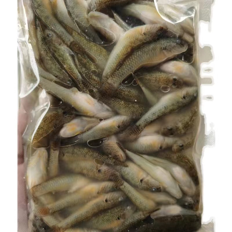 生鲜食品袋装山坑鱼小龙鱼小鱼仔鲜冻水产鱼食用山溪6份多省包邮