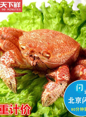 北京闪送 鲜活超大 红毛蟹 俄罗斯进口 海鲜日料食材水产