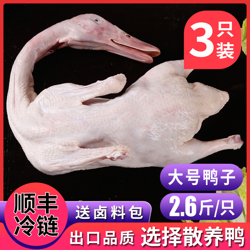 新鲜樱桃谷鸭肉食品白条鸭冷冻整鸭煲汤生鲜食材鲜鸭子肉整只