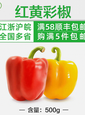 新鲜彩椒500g 圆椒 柿子椒 红黄灯笼椒 蔬菜沙拉 5份包邮