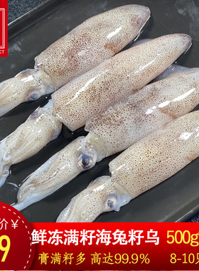 【3包装】海兔子满籽生鲜新鲜冻海捕笔管鱼活籽乌满籽墨鱼仔火锅