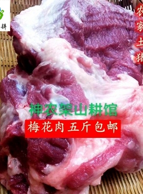 梅花新款中国大陆湖北省肉5斤 新鲜现杀生鲜土猪肉瘦肉农家散养