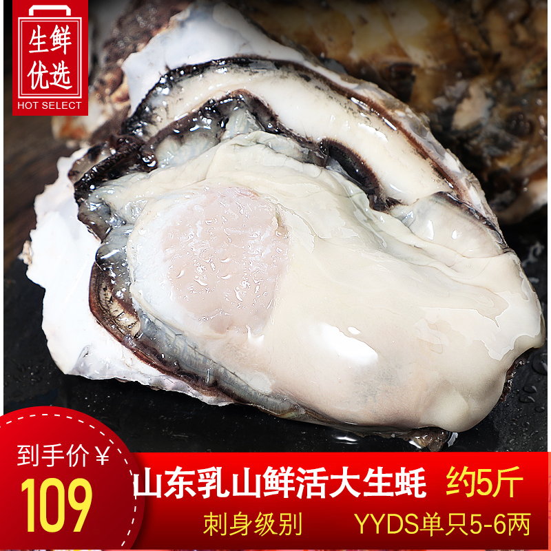 【5斤刺身级活生蚝】乳山特大号生蚝牡蛎鲜活新鲜带壳生吃海蛎子