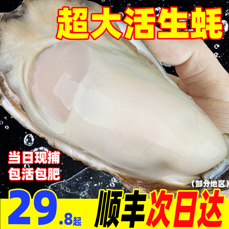 正宗乳山生蚝鲜活特大新鲜牡蛎超大生鲜蚝海蛎子5斤水产海鲜顺丰