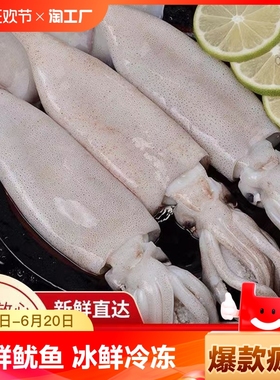 鱿鱼生鲜整只冷冻新鲜超大海捕水产海鲜烧烤铁板鱿鱼鲜活鱼须整条
