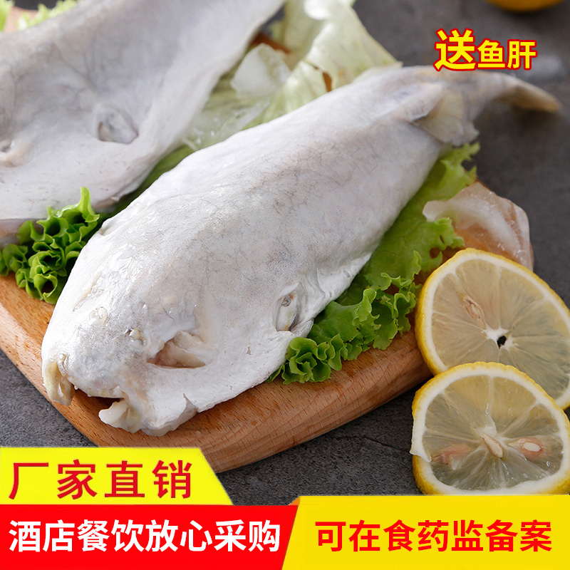 豚之杰河豚鱼食用包邮养殖淡水鱼生鲜河豚10斤速冻冰鲜酒店食材